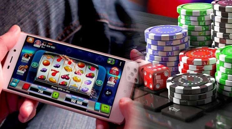 zoo tycoon Live Casino